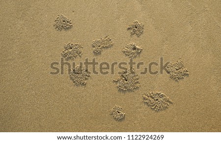           Focus sand beach selected background                     