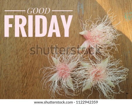 Concept of hairy pink flower on wooden background with word GOOD FRIDAY