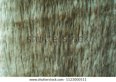 old Wood texture background