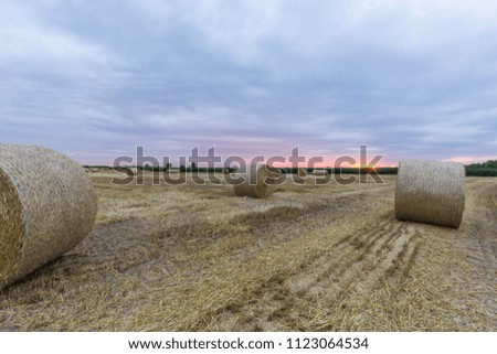 A field of Freshly Baled Round Hay Bales