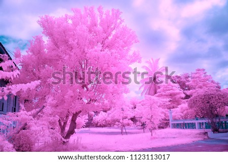 Pink trees from near infrared style by IR mode.Paradise concept,Picture process from imagination.