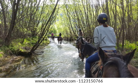 Riding a horse in New Zealand. We cross the river, dry riverbed, forest and mountains. The horses are beautiful animal and gentle too. The scenery is super stunning in this area. Royalty-Free Stock Photo #1123150766