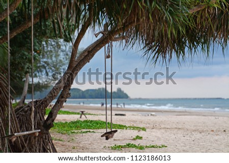 Swing hang from coconut tree at summer beach, Thailand