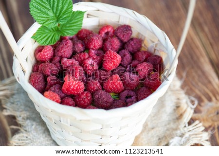 Fresh juicy raspberry bright saturated color collected in a basket in the garden