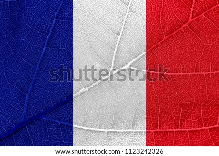 Flag of France and leaf of grapes