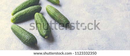 Fresh raw juicy cucumbers on a light background. Horizontal photo banner for website header design