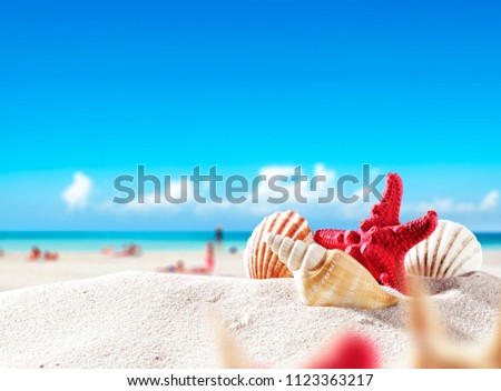 Shell decoration on sand and free space for your decoration. 