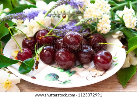 Heap pile stack bunch of cherries scattered on white plate saucer on wooden vintage country Provence table on a background of Jasmine and other flowers. Soft focus. Side view.