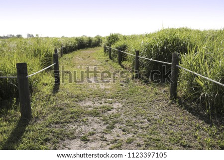 countryside landscape with a wooden fence under a clear sky.A faint memories landscape.