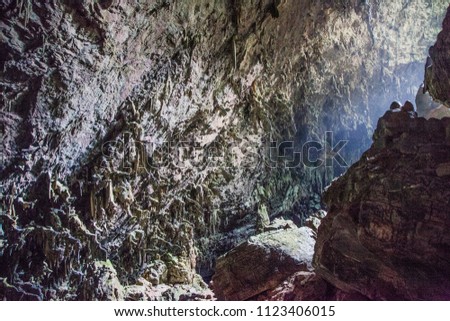 Giant Tropical cave