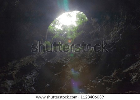 Giant Tropical cave