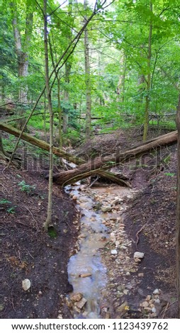 Perspective view of criss cross fallen trees over washed out ravine in a forest. Flowing water, exposed soil, trees & foliage background. Captured on a rainy summer afternoon in the upper Midwest.