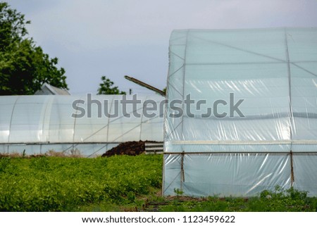 Greenhouse for growing vegetables, blue sky, farming, hot summer