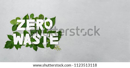 zero waste paper text witj green leaves on gray background  Royalty-Free Stock Photo #1123513118