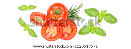 Tomatoes tomatos vegetables with basil from above banner isolated on a white background