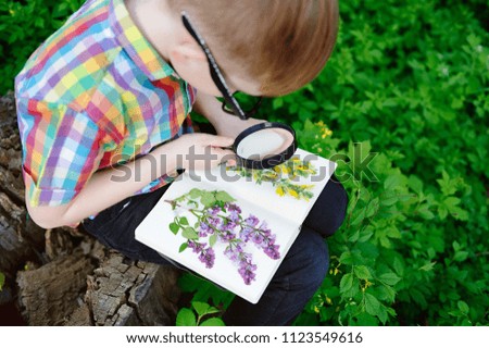 Closeup picture of a boy looking at herbarium through the magnifier Royalty-Free Stock Photo #1123549616