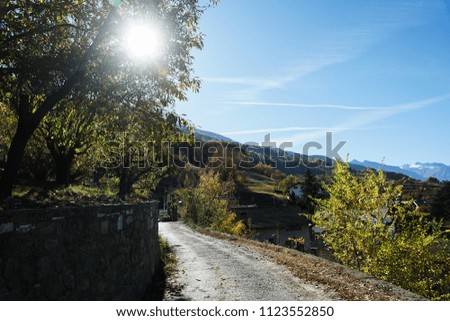 
Mountains in Italy, a small town. The lights of a sun
