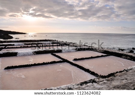 Picture Photo of Salt Flats in the Canry islands