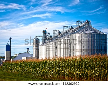 Corn dryer silos standing in a field of corn Royalty-Free Stock Photo #112362932