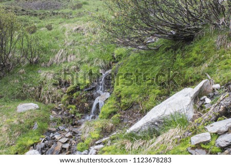 Mountain river with a little waterfall with moss and grass composition