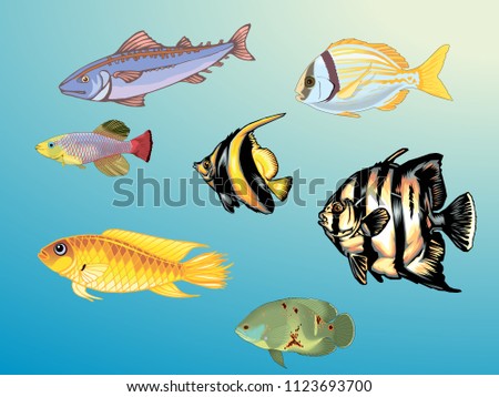 Big and small fish. Illustration