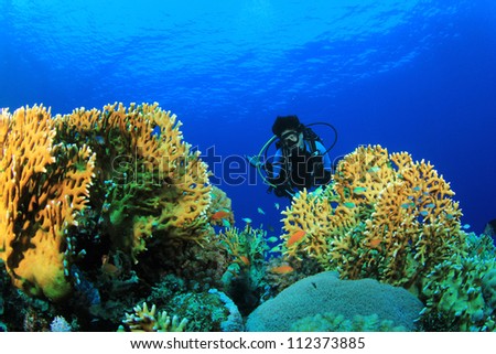Coral Reef and female Scuba Diver