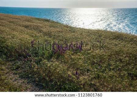 Black sea, Tarkhankut Peninsula. Crimea