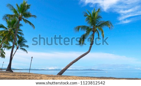 Beautiful exotic sandy beach is left empty on a perfect sunny day in the summer. Happy tourist speed around the tranquil sea in the distance. Picturesque shot of tropical beach and tall palm trees.