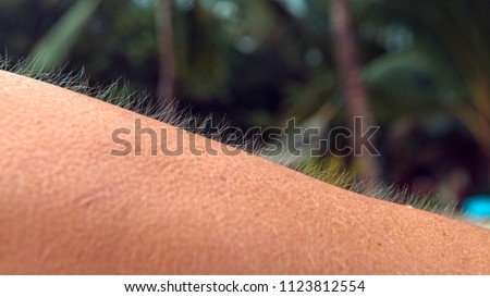CLOSE UP, MACRO, DOF: Unrecognizable young female trembles in the cold weather on tropical beach. Gentle summer breeze makes unknown Caucasian person get goosebumps. Scared woman's raised arm hair. Royalty-Free Stock Photo #1123812554