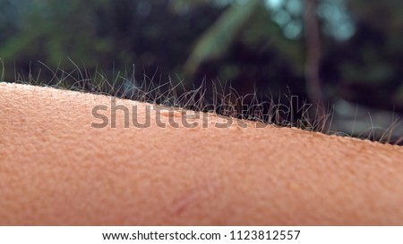 CLOSE UP, MACRO, DOF: Unknown Caucasian person gets goosebumps during a cold tropical rainstorm. Close up shot of arm hair fluttering in the breeze as unrecognizable girl can't escape the cold rain. Royalty-Free Stock Photo #1123812557