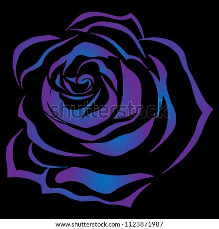 Beautiful rose on a holiday card. Vector illustration of a bright rose on a black background. Hand drawn rose flower.