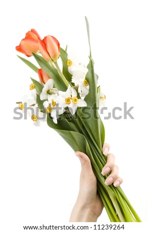 woman holding bouquet of white  narcissuses and red tulips, spring flowers