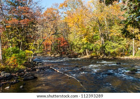River Flowing in Autumn