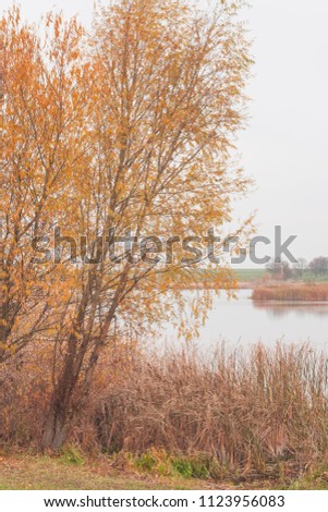 Autumn landscape with a lake. Nature in the vicinity of Pruzhany, Brest region,Belarus.