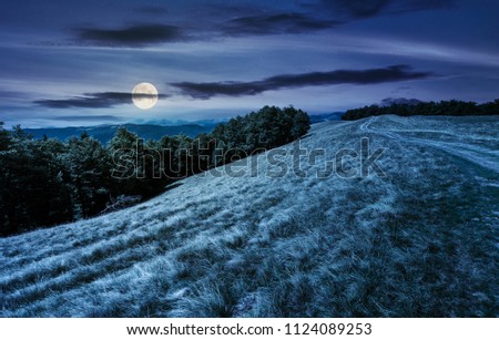 mountain road in to the beech forest at night in full moon light. Svydovets mountain ridge in the distance. stunning landscape of Carpathian mountains, Ukraine