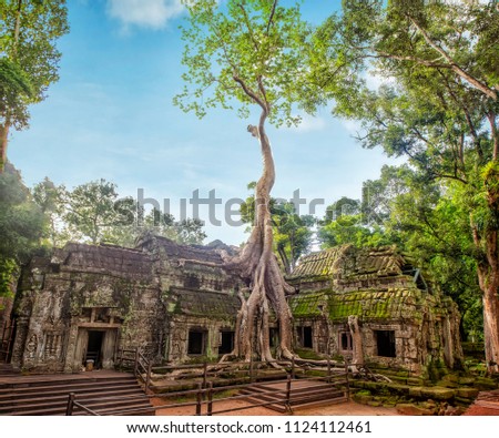 Angkor Ta Prohm Temple of Angkor Thom in Cambodia Royalty-Free Stock Photo #1124112461