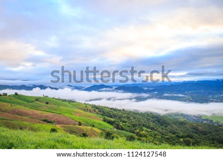 Fog Covered Peak.Thailand tourism at Chiang Mai.Watch the sunrise in the mist.