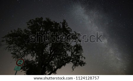 Milchstraße und Baum                    