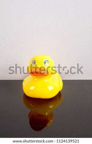 A yellow duck isolated on white with mirror reflection. Leadership conceptual.