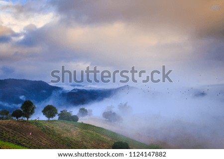 Mist on the mountain in Thailand.
