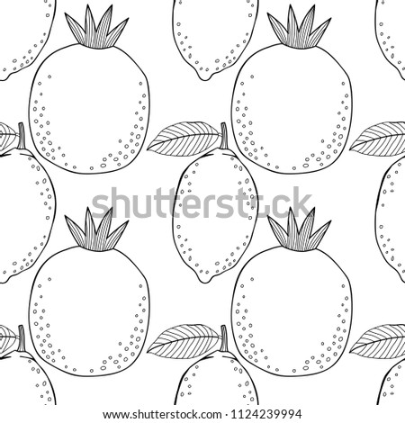 Lemons and pomegranates. Black and white illustration for coloring book. Fruits, healthy dessert and food.