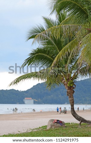 Cityscape of crowded beach with coconut trees before storm coming, Thailand