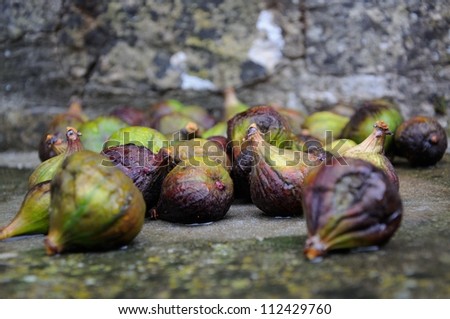 Figs in the rain