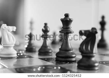 Chess photographed on a chessboard Royalty-Free Stock Photo #1124325452