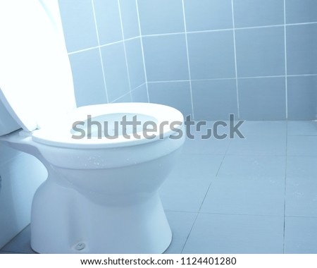 Toilet bowl in the bathroom. Soft and bright image.