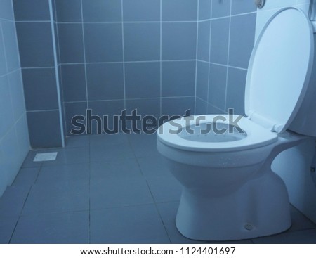 Toilet bowl in the bathroom. Soft and dark image.