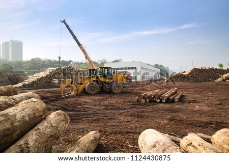 The crane is transporting wood in the sawmill Royalty-Free Stock Photo #1124430875