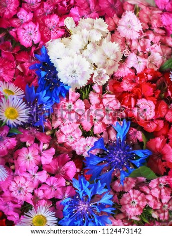 abstract background of bright wild flowers, colorful flowers background. Flower arrangement, bouquet of flowers. For background and wallpaper, for poster and print