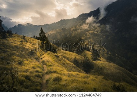 Nature trail in Mountain Rinjani national park, Lombok, Indonesia with green grasses, day light, hills, and mountains taken on the way down to the crater lake.