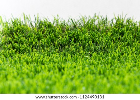 Artificial turf with sunshine